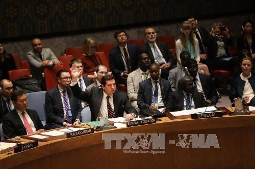 Россия наложила вето на проект резолюции Совбеза ООН по Сирии  - ảnh 1